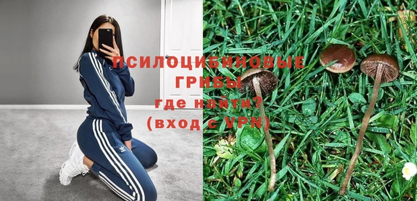 дурь Алексеевка