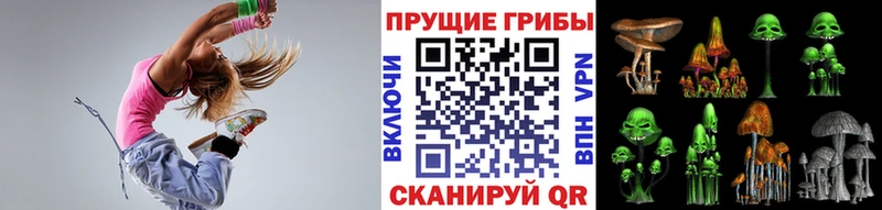 Галлюциногенные грибы прущие грибы  где продают наркотики  Волхов 
