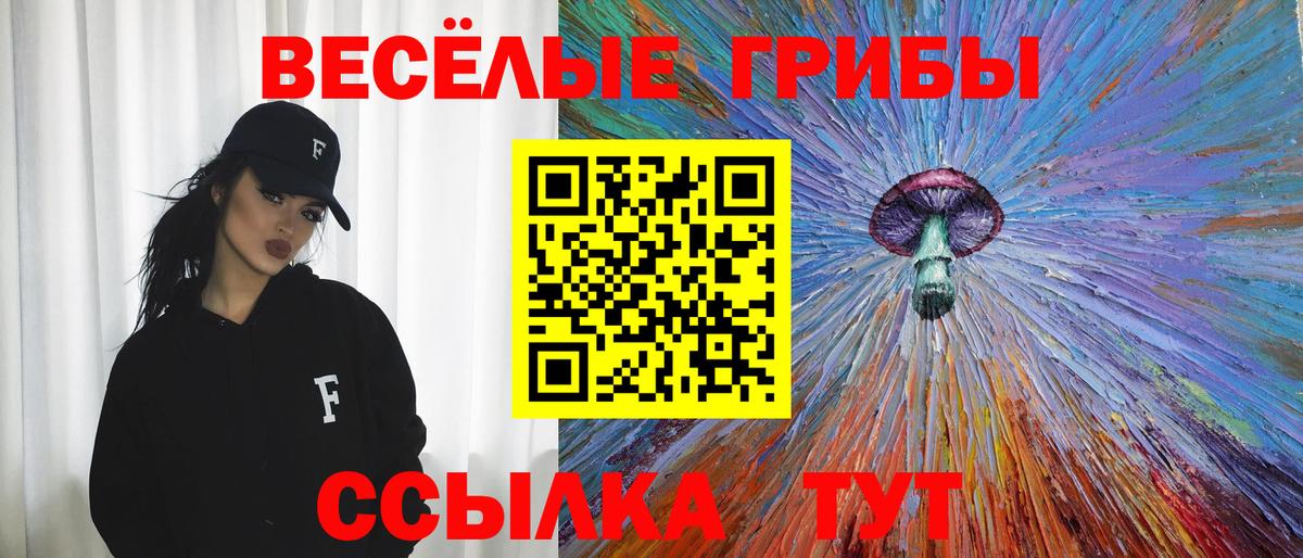 Псилоцибиновые грибы MAGIC MUSHROOMS  Волхов  Псилоцибиновые грибы мухоморы 