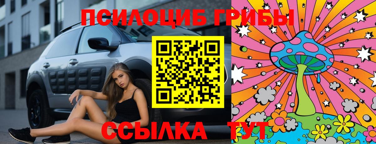 Псилоцибиновые грибы мухоморы  Вход с VPN  Волхов  Псилоцибиновые грибы прущие грибы 