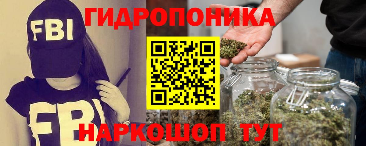 Конопля семена Волхов